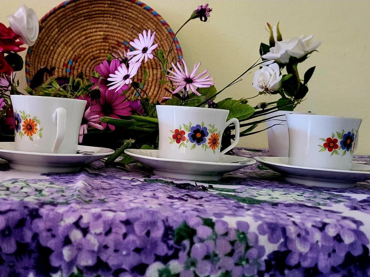 Apartament Rosaspe Stintino Cuile Ezi Mannu Zewnętrze zdjęcie
